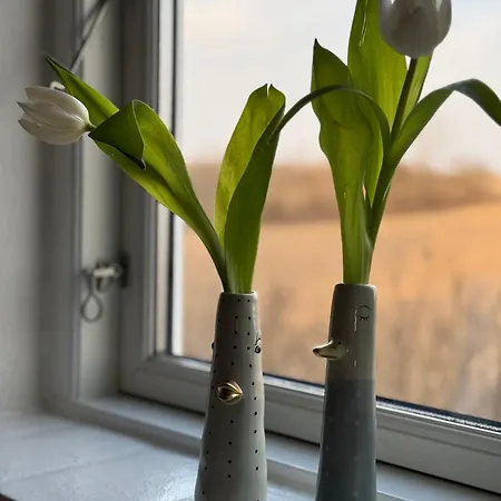 Digebjerggaard Oda ve Kahvaltı *