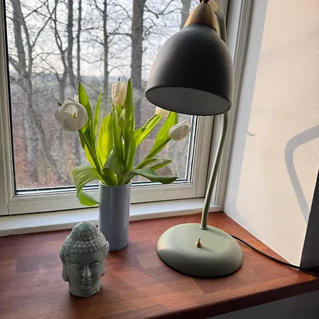 Digebjerggaard