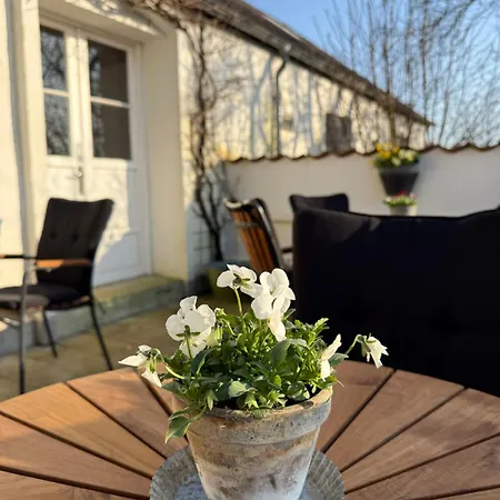 Bed & Breakfast Digebjerggaard *