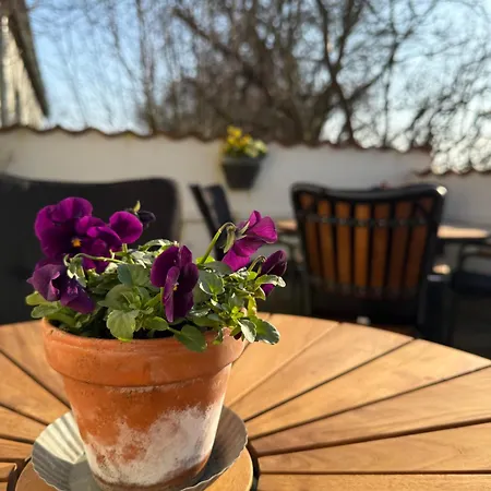 Oda ve Kahvaltı Digebjerggaard *