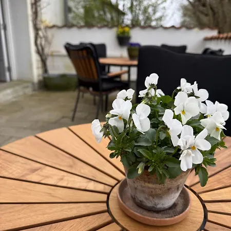 Oda ve Kahvaltı Digebjerggaard Vester-Skerninge