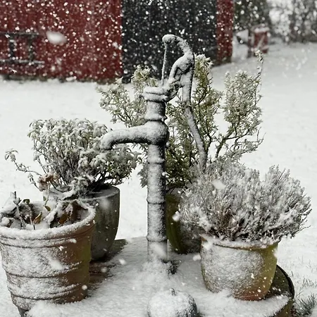 Bed and breakfast Digebjerggaard