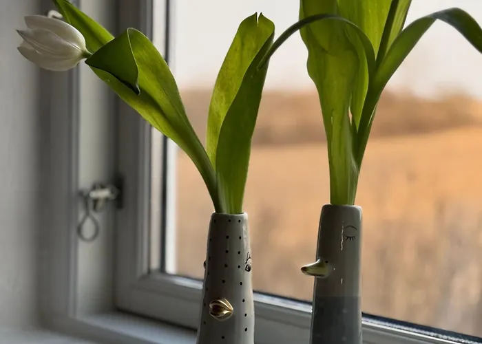 Digebjerggaard Bed and breakfast *