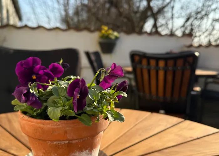 Bed and breakfast Digebjerggaard *