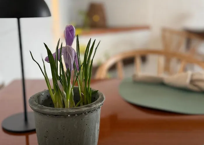 Digebjerggaard Bed and breakfast *