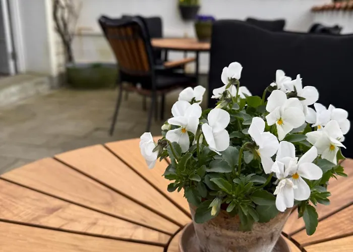 Bed and breakfast Digebjerggaard Vester-Skerninge