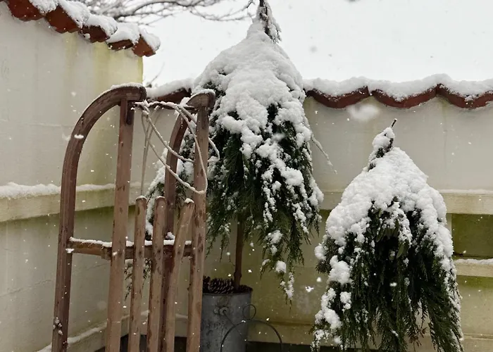 Bed and breakfast Digebjerggaard