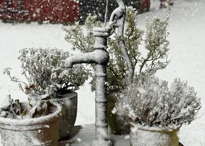 Bed and breakfast Digebjerggaard