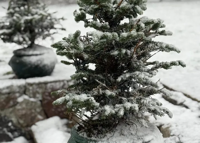 Bed and breakfast Digebjerggaard *