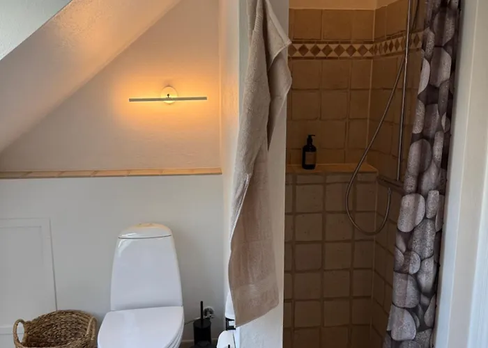 Digebjerggaard * Vester-Skerninge